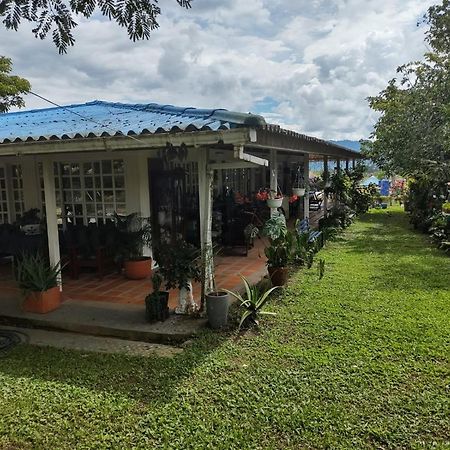 מונטנגרו Villa Monica מראה חיצוני תמונה