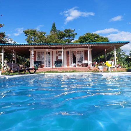 מונטנגרו Villa Monica מראה חיצוני תמונה