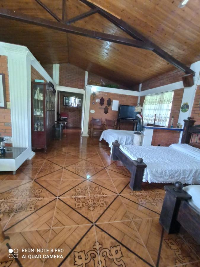 מונטנגרו Villa Monica מראה חיצוני תמונה