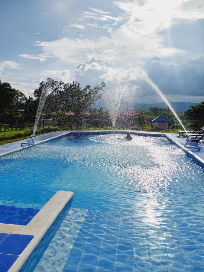 מונטנגרו Villa Monica מראה חיצוני תמונה