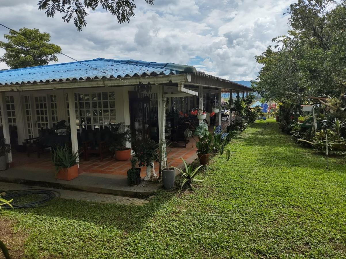 מונטנגרו Villa Monica מראה חיצוני תמונה