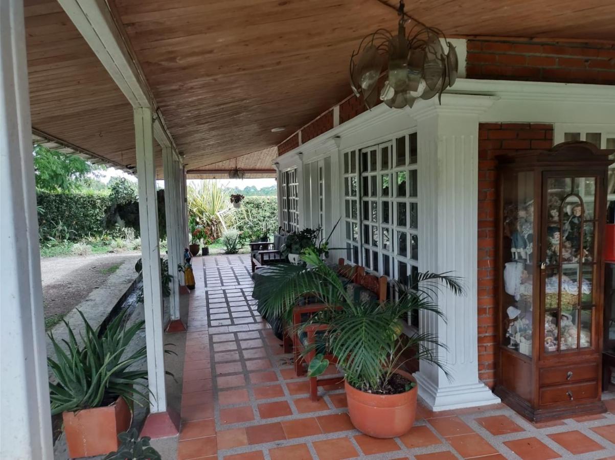 מונטנגרו Villa Monica מראה חיצוני תמונה